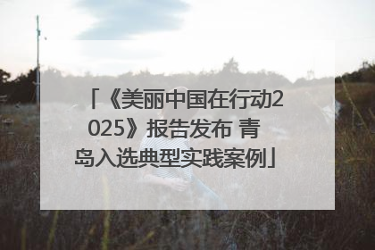 《美丽中国在行动2025》报告发布 青岛入选典型实践案例