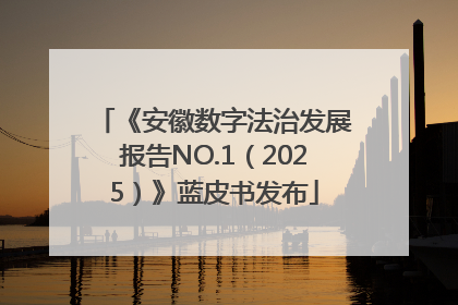 《安徽数字法治发展报告NO.1（2025）》蓝皮书发布