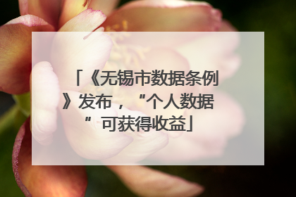 《无锡市数据条例》发布，“个人数据”可获得收益