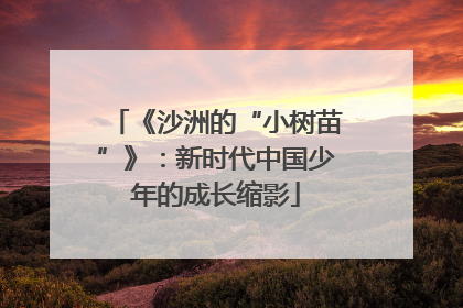 《沙洲的“小树苗”》：新时代中国少年的成长缩影