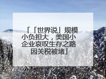 「世界说」规模小负担大，美国小企业哀叹生存之路因关税被堵