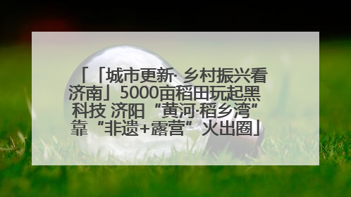 「城市更新· 乡村振兴看济南」5000亩稻田玩起黑科技 济阳“黄河·稻乡湾”靠“非遗+露营”火出圈