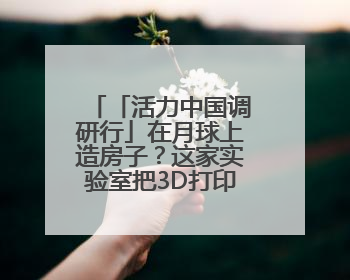「活力中国调研行」在月球上造房子？这家实验室把3D打印“带上月球”