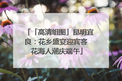 「高清组图」昆明宜良：花乡盛宴迎宾客 花海人潮庆端午
