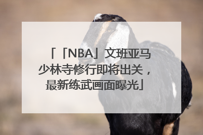 「NBA」文班亚马少林寺修行即将出关，最新练武画面曝光