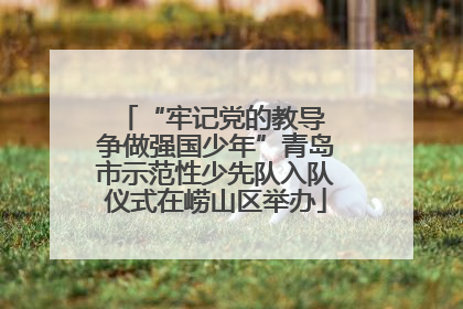 “牢记党的教导 争做强国少年”青岛市示范性少先队入队仪式在崂山区举办
