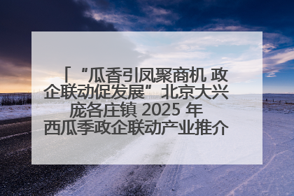 “瓜香引凤聚商机 政企联动促发展”北京大兴庞各庄镇 2025 年西瓜季政企联动产业推介活动圆满举行