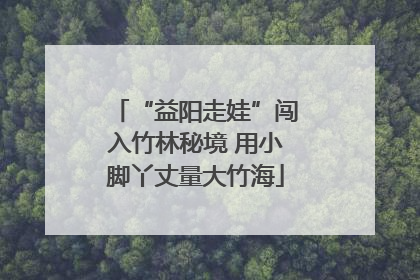 “益阳走娃”闯入竹林秘境 用小脚丫丈量大竹海
