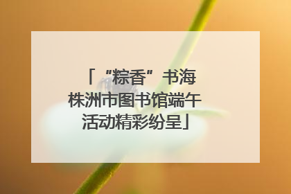 “粽香”书海 株洲市图书馆端午活动精彩纷呈