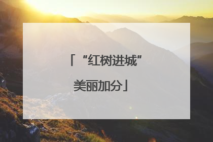 “红树进城” 美丽加分