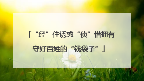 “经”住诱惑“侦”惜拥有 守好百姓的“钱袋子”