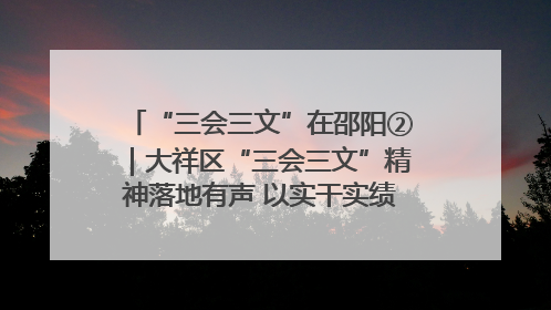 “三会三文”在邵阳②｜大祥区“三会三文”精神落地有声 以实干实绩助力区域高质量发展