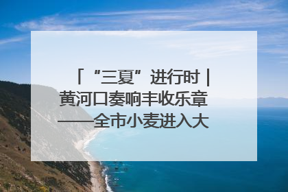 “三夏”进行时｜黄河口奏响丰收乐章——全市小麦进入大面积收获高峰期