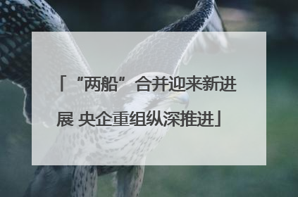“两船”合并迎来新进展 央企重组纵深推进
