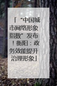 “中国城市网络形象指数”发布！衡阳：政务效能提升治理形象