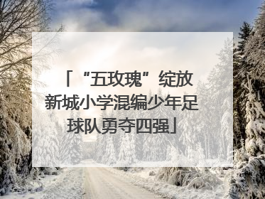 “五玫瑰”绽放 新城小学混编少年足球队勇夺四强