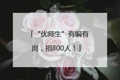 “优师生”有编有岗，招800人！