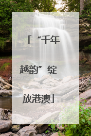 “千年越韵”绽放港澳