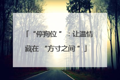 “停狗位 ”：让温情藏在 “方寸之间 ”