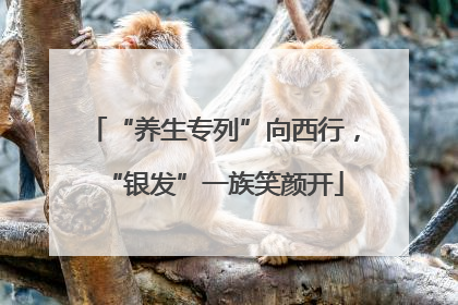 “养生专列”向西行，“银发”一族笑颜开
