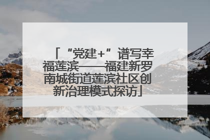 “党建+”谱写幸福莲滨——福建新罗南城街道莲滨社区创新治理模式探访