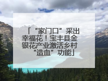 “家门口”采出幸福花！宝丰县金银花产业激活乡村“造血”功能