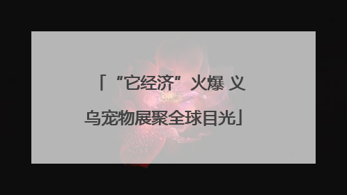 “它经济”火爆 义乌宠物展聚全球目光