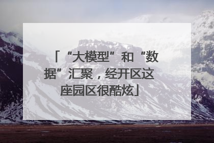 “大模型”和“数据”汇聚，经开区这座园区很酷炫