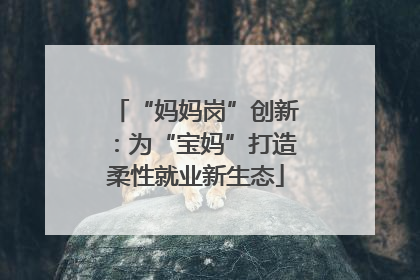 “妈妈岗”创新：为“宝妈”打造柔性就业新生态