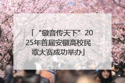 “徽音传天下”2025年首届安徽高校民歌大赛成功举办