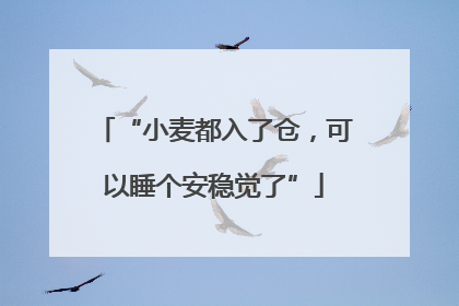 “小麦都入了仓，可以睡个安稳觉了”