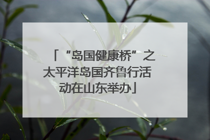 “岛国健康桥”之太平洋岛国齐鲁行活动在山东举办