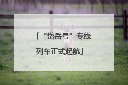 “岱岳号”专线列车正式起航