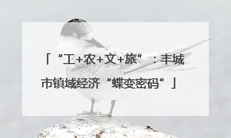 “工+农+文+旅”：丰城市镇域经济“蝶变密码”