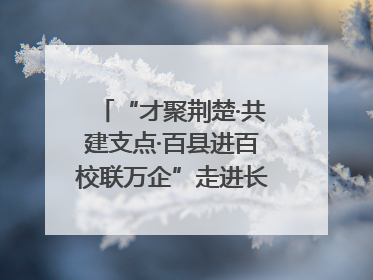 “才聚荆楚·共建支点·百县进百校联万企”走进长江大学文理学院