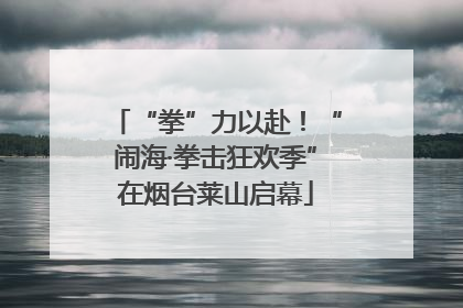 “拳”力以赴！“闹海·拳击狂欢季”在烟台莱山启幕