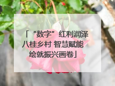 “数字”红利润泽八桂乡村 智慧赋能绘就振兴画卷