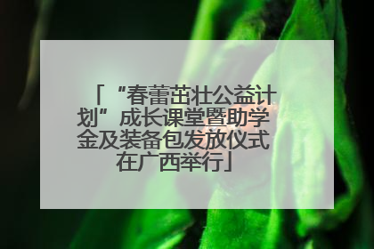 “春蕾茁壮公益计划”成长课堂暨助学金及装备包发放仪式在广西举行