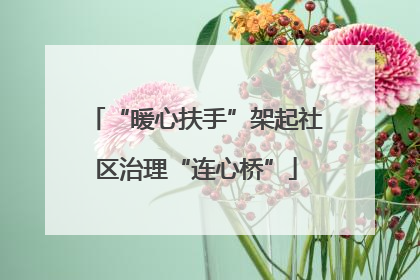 “暖心扶手”架起社区治理“连心桥”