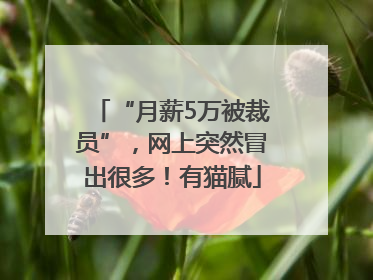 “月薪5万被裁员”，网上突然冒出很多！有猫腻