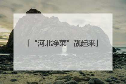 “河北净菜”靓起来