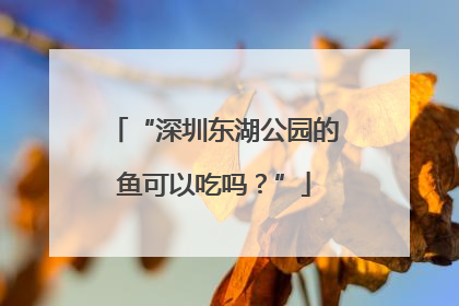 “深圳东湖公园的鱼可以吃吗？”