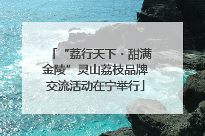 “荔行天下・甜满金陵”灵山荔枝品牌交流活动在宁举行