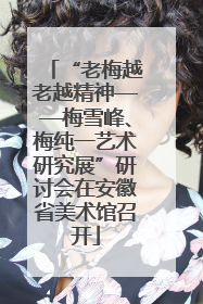 “老梅越老越精神——梅雪峰、梅纯一艺术研究展”研讨会在安徽省美术馆召开