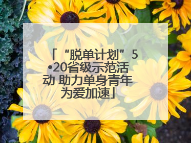 “脱单计划”5•20省级示范活动 助力单身青年为爱加速