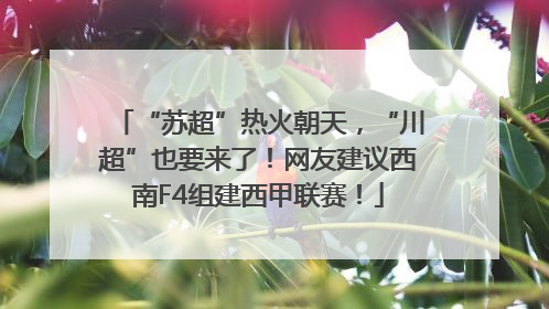 “苏超”热火朝天，“川超”也要来了！网友建议西南F4组建西甲联赛！