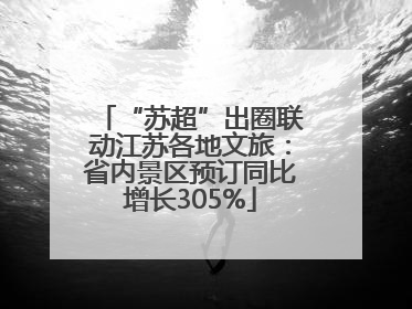 “苏超”出圈联动江苏各地文旅：省内景区预订同比增长305%