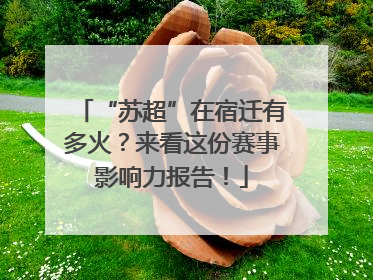 “苏超”在宿迁有多火？来看这份赛事影响力报告！