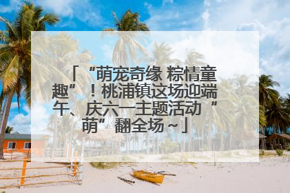 “萌宠奇缘 粽情童趣”！桃浦镇这场迎端午、庆六一主题活动“萌”翻全场～