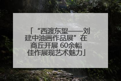 “西渡东望——刘建中油画作品展”在商丘开展 60余幅佳作展现艺术魅力
